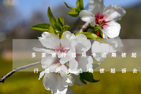 多家银行信用卡逾期被起诉会怎样-多家银行信用卡逾期被起诉会怎样处理