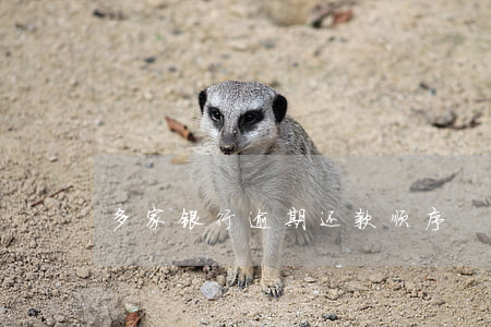 多家银行逾期还款顺序