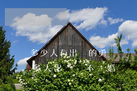 多少人有出軌的勇氣卻沒有離婚(為什么那么多人出軌卻不離婚)