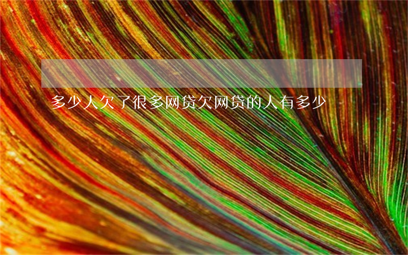 多少人欠了很多网贷(欠网贷的人有多少)