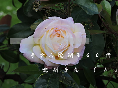 多少人逾期360借條(2020年360借條逾期多久,會(huì)爆通訊錄)
