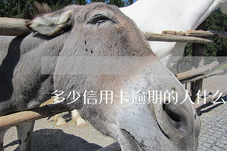 多少信用卡逾期的人(什么情況算信用卡逾期)