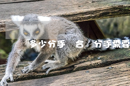 多少分手費合適(分手需要分手費嗎)