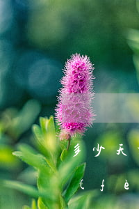 多少天交電費(fèi)算逾期(逾期交電費(fèi)多久會(huì)停電)