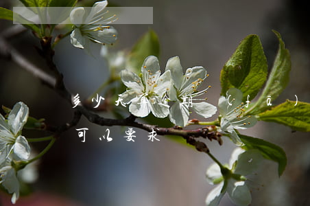 多少天算逾期發(fā)工資(工資逾期多久可以要求賠償)