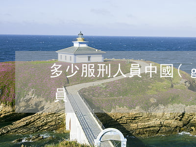 多少服刑人員(中國(guó)有多少服刑人員)