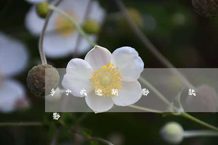 多少次逾期會影響貸款(貸款多次逾期有什么影響)