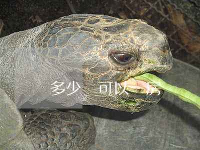多少歲可以開房