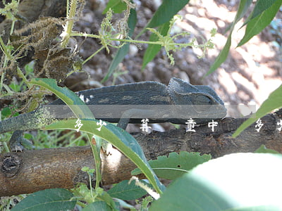 多少歲算兒童(中國多少歲算兒童)