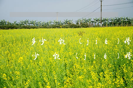 多少歲能結(jié)婚(部隊(duì)多少歲能結(jié)婚)