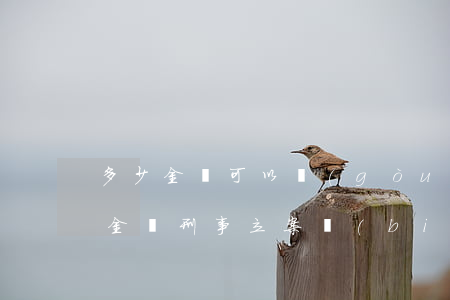多少金額可以構(gòu)成刑事案件(多少金額刑事立案標(biāo)準(zhǔn))