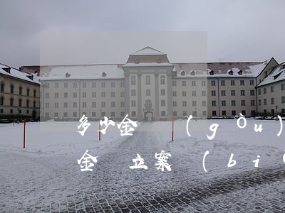 多少金額構(gòu)成刑事案件(刑事案件金額立案標(biāo)準(zhǔn))