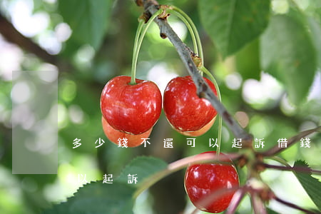 多少錢不還可以起訴(借錢不還多少錢以上可以起訴)