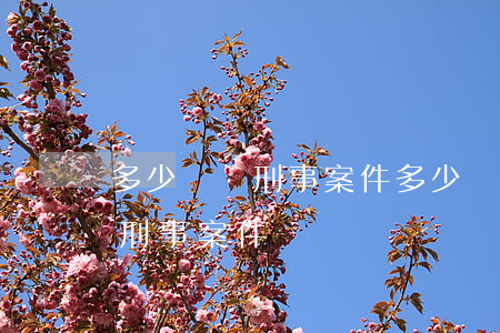 多少錢夠刑事案件(多少錢能構(gòu)成刑事案件)