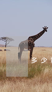 多少錢屬于小額訴訟(多少金額屬于小額訴訟)