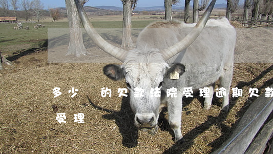 多少錢的欠款法院受理（逾期欠款多少錢法院受理）