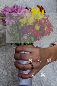 多少錢的糾紛可以立案(民事案件多少錢可以立案)