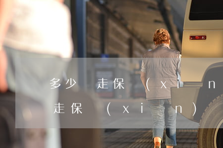 多少錢走保險(xiǎn)(車子超過多少錢走保險(xiǎn))