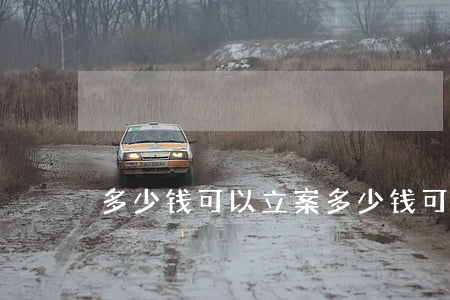 多少钱可以立案(多少钱可以立案报警)