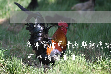 多年前信用卡逾期能消除(信用卡逾期多少年可以消除記錄)
