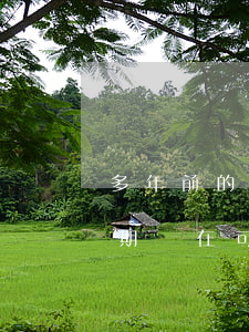 多年前的逾期會影響貸款嗎-一年前有過逾期現在可以貸款嗎