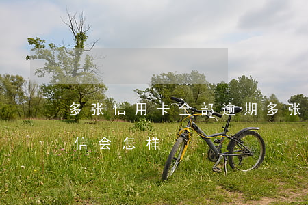 多张信用卡全部逾期(多张信用卡全部逾期征信会怎样)