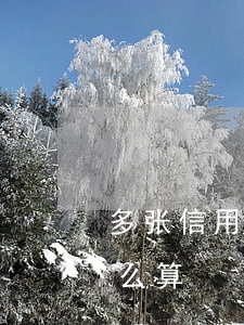 多张信用卡逾期2年 多张信用卡逾期2年怎么算