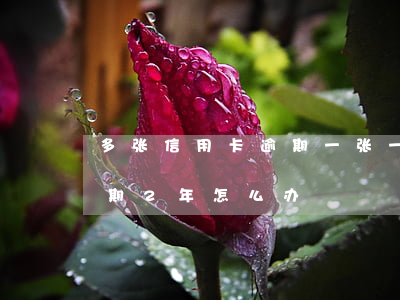 多张信用卡逾期一张一张还(很多张信用卡逾期2年怎么办)