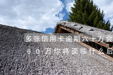多张信用卡逾期六十万会怎么样，信用卡逾期60万：你将面临什么后果？