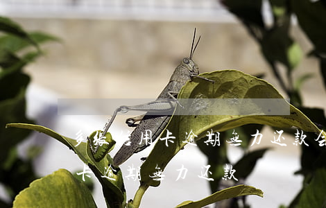 多张信用卡逾期无力还款会怎么样（多张信用卡逾期无力还款）