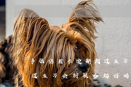 多张信用卡逾期超过五万(多张信用卡逾期超过五万会别联合起诉吗)