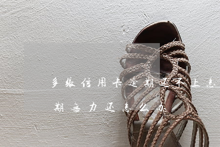 多张信用卡逾期还不上怎么办(几张信用卡逾期无力还怎么办)
