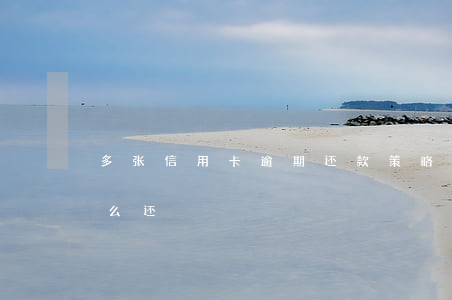 多张信用卡逾期还款策略(多张信用卡逾期怎么还)