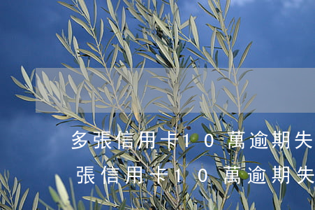 多張信用卡10萬逾期失聯(lián)(多張信用卡10萬逾期失聯(lián)怎么辦)