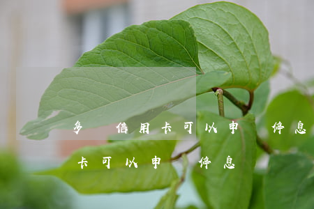 多張信用卡可以申請停息掛賬嗎?-多張信用卡可以申請停息掛賬嗎