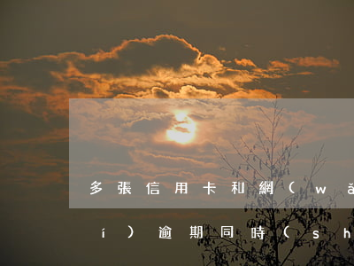 多張信用卡和網(wǎng)貸同時(shí)逾期(同時(shí)逾期好幾家網(wǎng)貸)