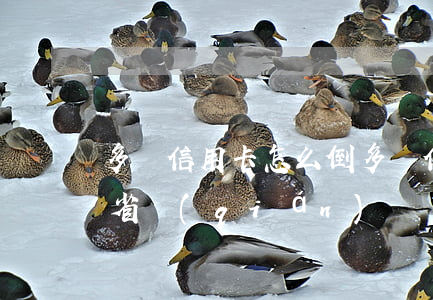 多張信用卡怎么倒(多張信用卡怎么倒著用最省錢(qián))