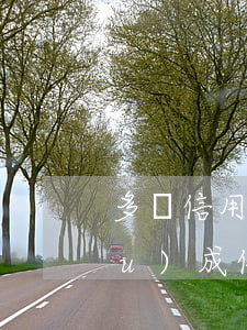 多張信用卡惡意透支怎么判(怎樣才構(gòu)成信用卡惡意透支罪)