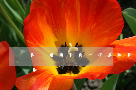 多張信用卡有一行逾期(多張信用卡有一行逾期)