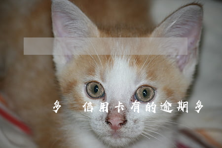 多張信用卡 有的逾期(多張信用卡 有的逾期)