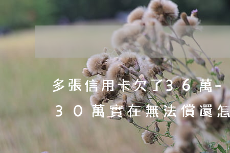 多張信用卡欠了36萬-欠信用卡多張累計30萬實在無法償還,怎么協(xié)商