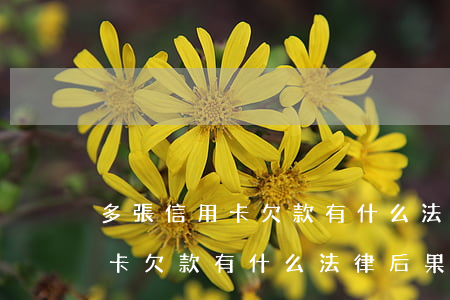多張信用卡欠款有什么法律后果-多張信用卡欠款有什么法律后果嗎