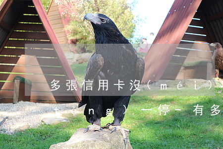 多張信用卡沒(méi)力還款是不是統(tǒng)一停-有多張信用卡還不上怎么辦