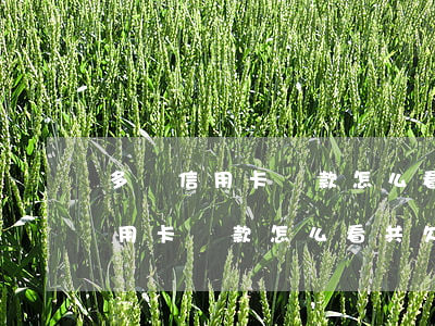 多張信用卡貸款怎么看共欠多少錢-多張信用卡貸款怎么看共欠多少錢呢