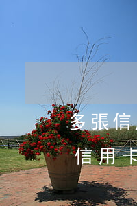 多張信用卡逾期12萬還不上怎么辦-多張信用卡逾期12萬還不上怎么辦呢