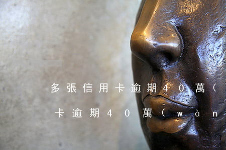 多張信用卡逾期40萬(wàn)(多張信用卡逾期40萬(wàn)塊錢)