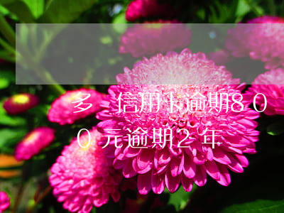 多張信用卡逾期80萬怎么辦(信用卡8000元逾期2年)