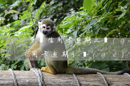多張信用卡逾期三個(gè)月以上(5張信用卡逾期3個(gè)月了怎么辦)