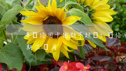 多張信用卡逾期不超過5萬 信用卡5萬多逾期三個月