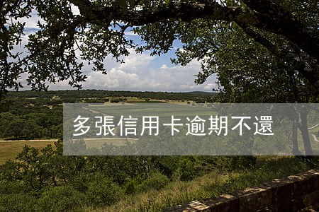 多張信用卡逾期不還